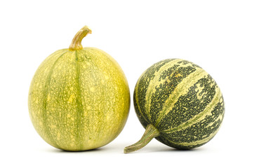 Colorful pumpkins on white background