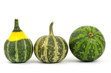Colorful pumpkins on white background
