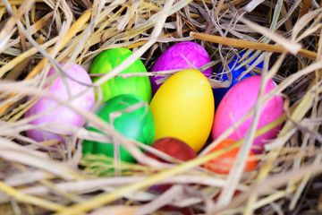 Colorful easter eggs in nest on meadow