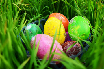 Easter Eggs with Fresh Green Grass over white background