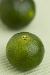 シークヮーサー