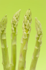 グリーンアスパラガス