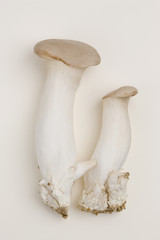 Fototapeta premium エリンギ