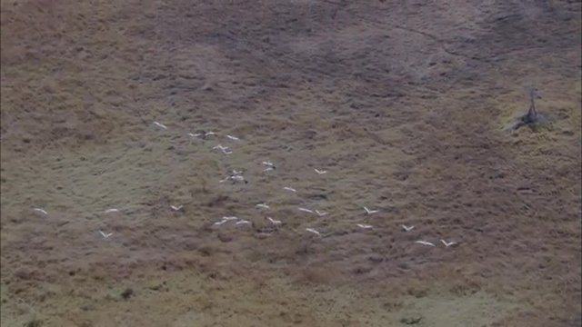 River Delta
