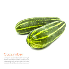fresh green cucumbers isolated on white background, Cucumis sati