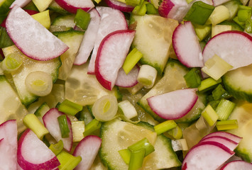 cucumber salad, radishes and onion