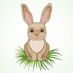Cute bunny with big ears on green grass