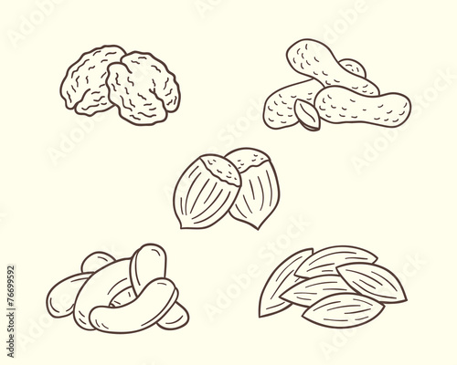 "Collections Of Nuts Illustrations In Sketch Style" Stock image and