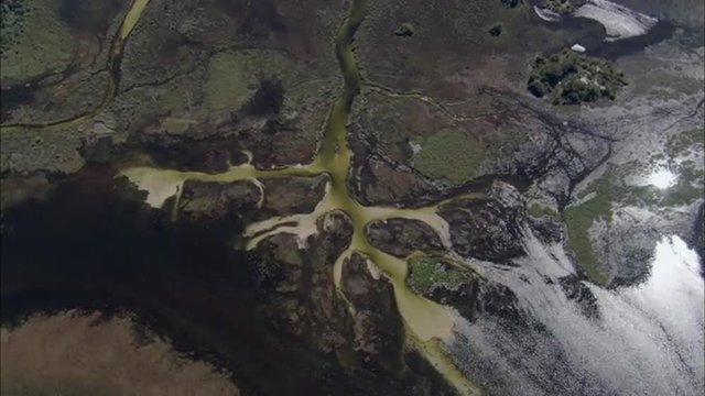 River Delta