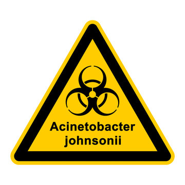 wso119 WarnSchildOrange - acinetobacter johnsonii - g3044