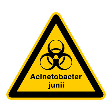 wso120 WarnSchildOrange - acinetobacter junii - g3045