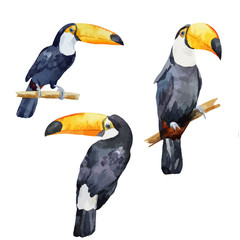 Fototapeta premium pattern toucan parrot tropical jungle nature background