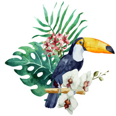 Naklejka premium pattern toucan parrot tropical jungle nature background
