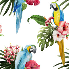 pattern toucan parrot tropical jungle nature background