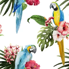 Garden poster Parrot pattern toucan parrot tropical jungle nature background