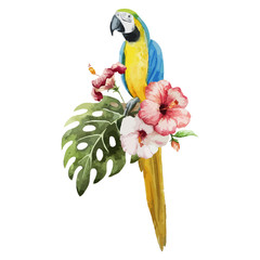 pattern toucan parrot tropical jungle nature background © zenina