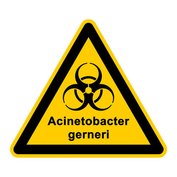 wso124 WarnSchildOrange - acinetobacter gerneri - g3049