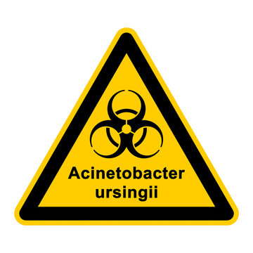 wso126 WarnSchildOrange - acinetobacter ursingii - g3051