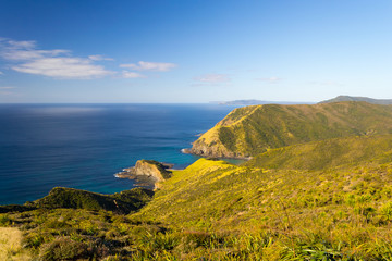 Spirits Bay in a bright day