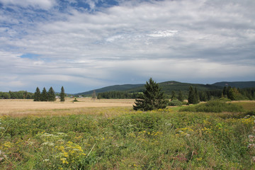 Summer landscape in a cloudy day