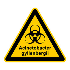 wso134 WarnSchildOrange - acinetobacter gyllenbergii - g3059