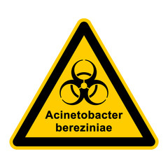 wso135 WarnSchildOrange - acinetobacter bereziniae - g3060