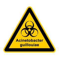 wso136 WarnSchildOrange - acinetobacter guillouiae - g3061