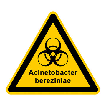 wso135 WarnSchildOrange - acinetobacter bereziniae - g3060