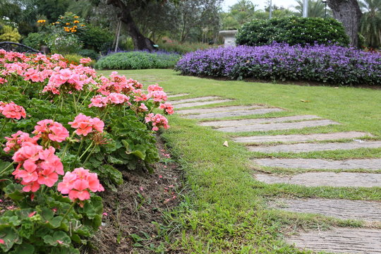 landscape of floral gardening with pathway in garden