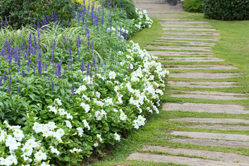 landscape of floral gardening with pathway in garden