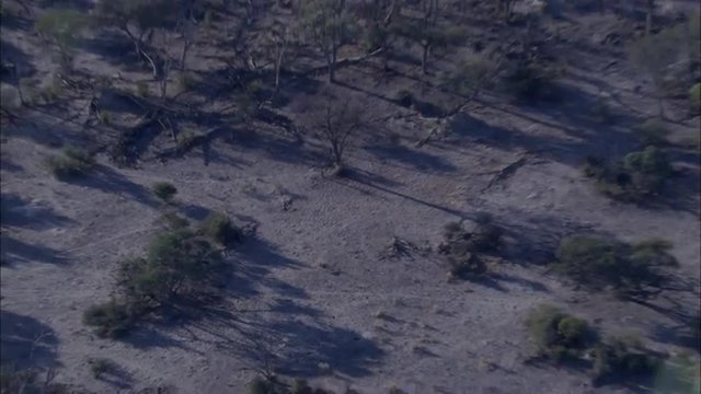Truck Safari
