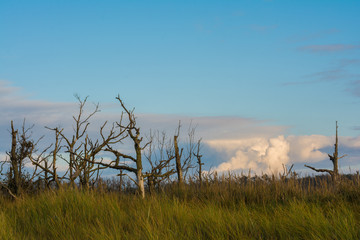 Obraz premium Sonnenuntergang am Weststrand auf Darss