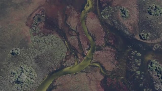 River Delta