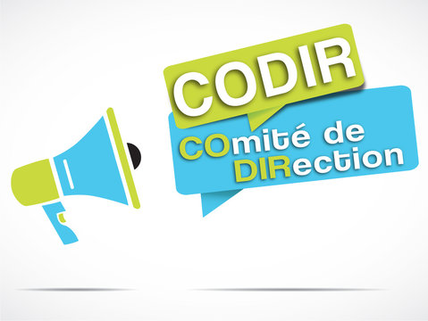 m&eacute;gaphone : codir