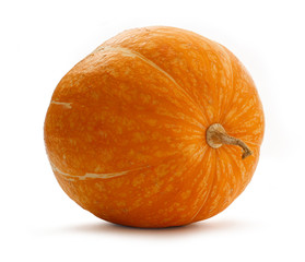 Large ripe pumpkin