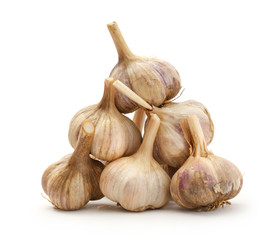 Garlic bulbs