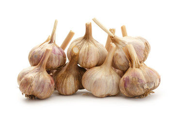 Garlic bulbs