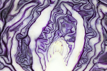Obraz premium pattern of purple cabbage