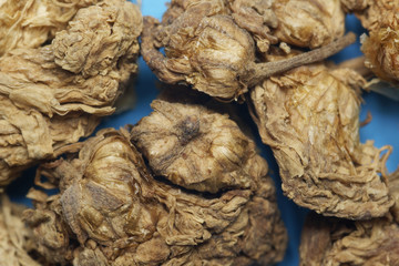 Chrysanthemi flos, Chrysanthemenblüten, Juhua