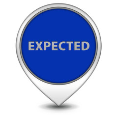 Expected pointer icon on white background