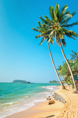 Exotic beach with tall palm trees and azure water, Sri Lanka