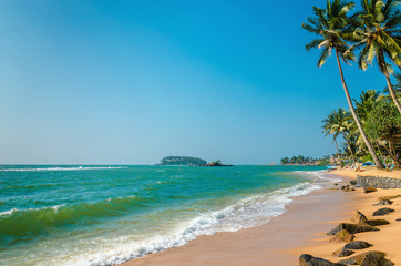 Exotic beach with tall palm trees and azure water