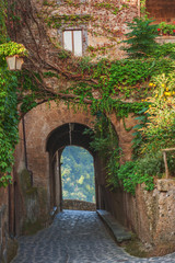 Naklejka premium Small alley in the Tuscan village