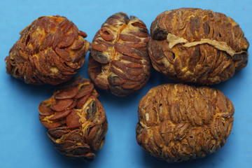 Amomi xantthioidis fructus, Amomi fructus
