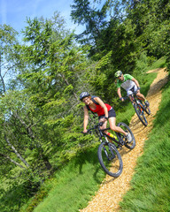 Fototapeta na wymiar Zwei Mountainbiker