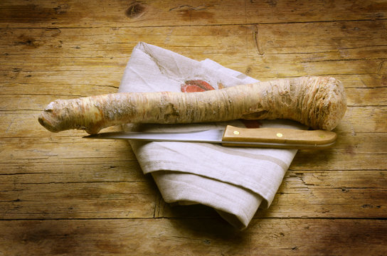 Armoracia rusticana Horseradish Cren Meerrettich R&aacute;bano