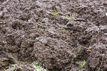 rural plowed  land