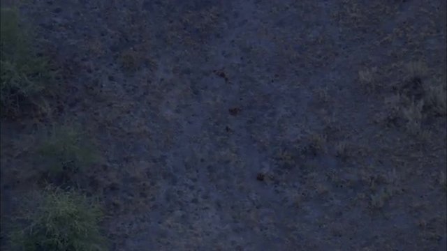 Dry Delta