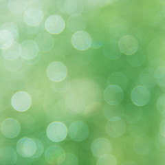 Obraz premium Green abstract background. Summer light.