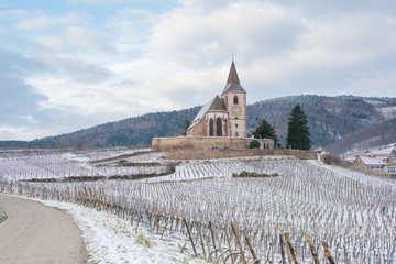 Eglise fortifi&eacute;e en Alsace dans les vignes en hiver 